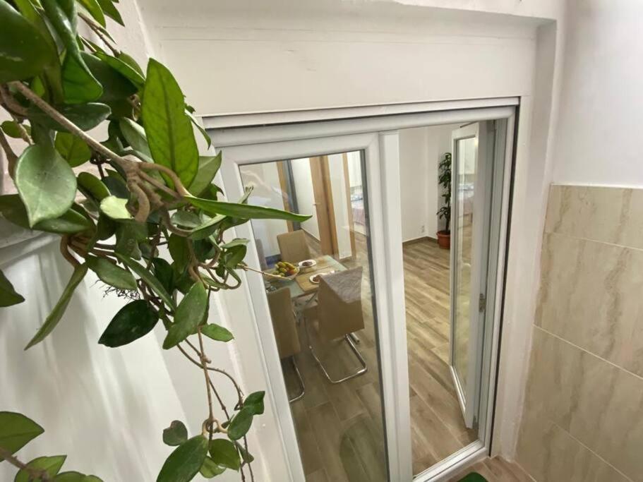 Apartament Puerto Playa Oceanografico Yulia Walencja Zewnętrze zdjęcie